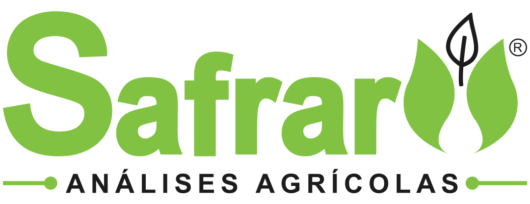 companyName